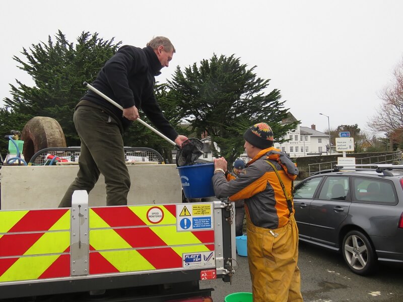 Arnie Offloading a Batch