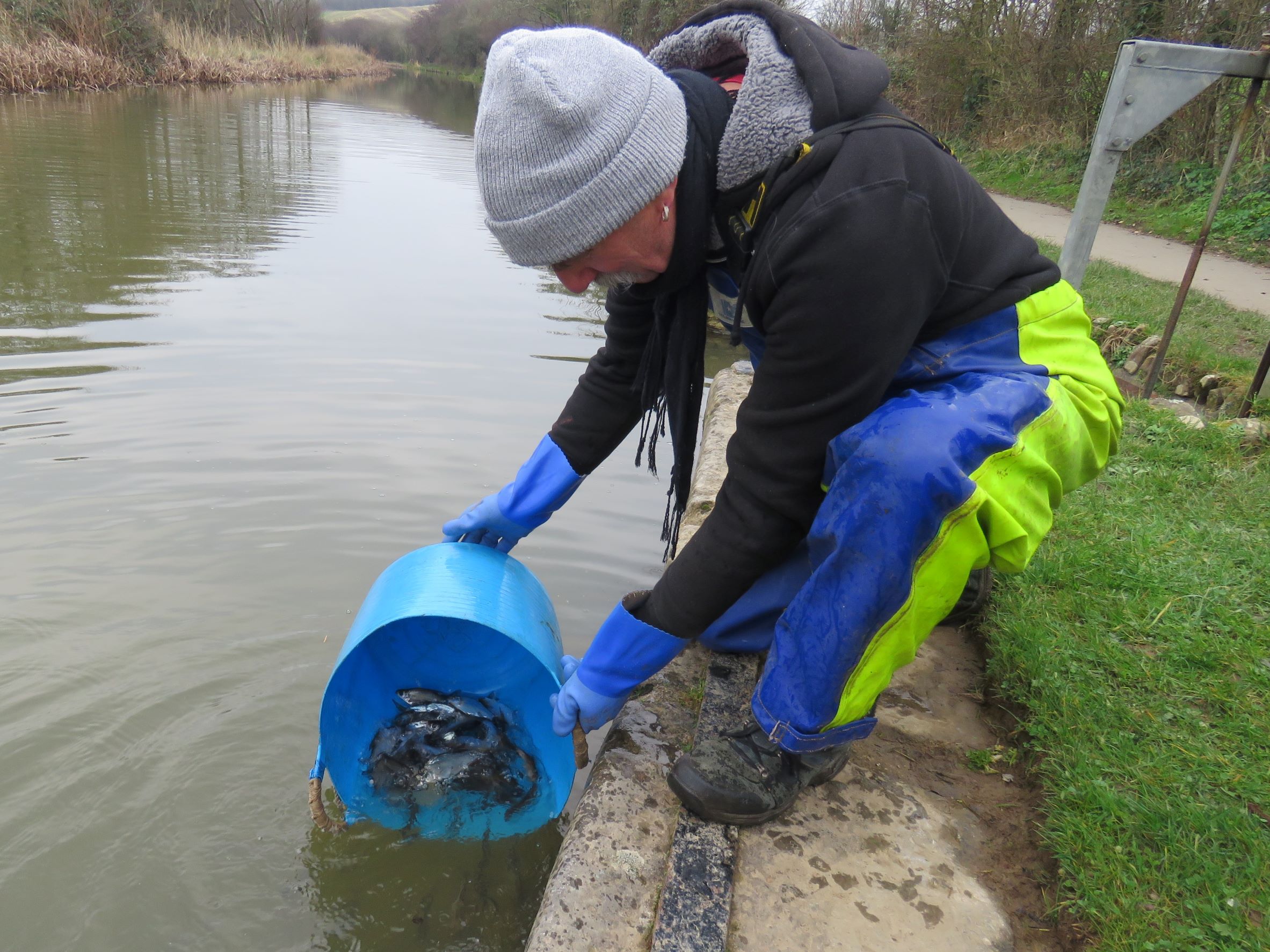 The Vice Chairman Releasing Fish