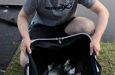 Ryan Willshire 17lbs 8ozs