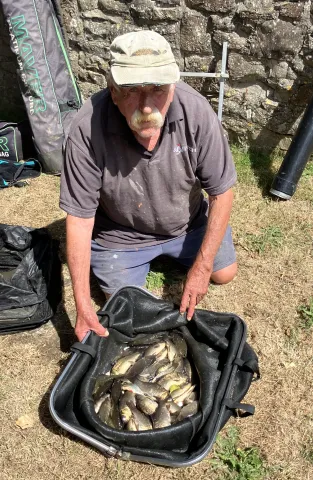 DT 10lb of Goldfish