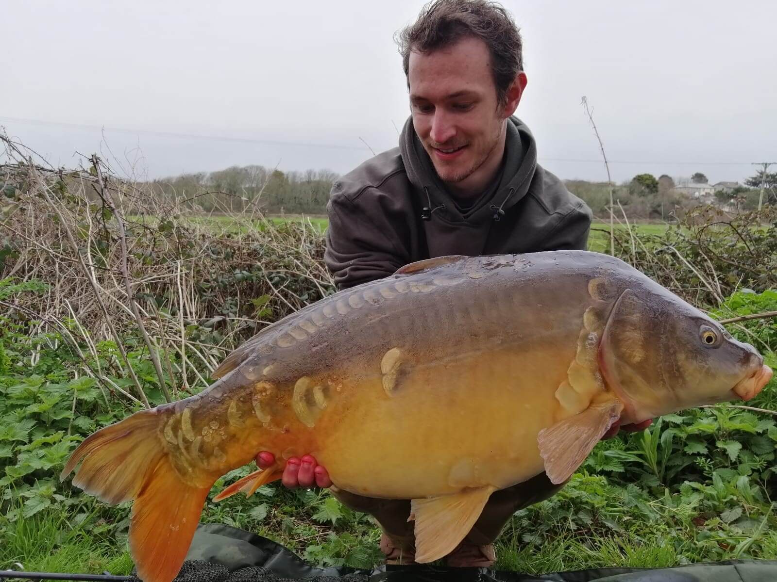 Mirror Carp