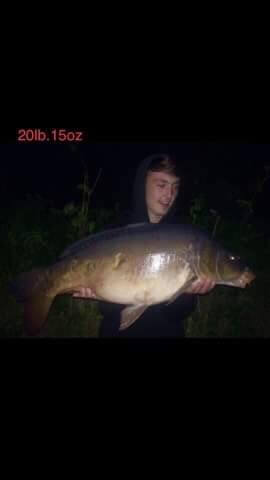 Mirror Carp - August 2018 - 20lbs 15ozs